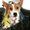 Photo of Silver F.