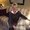 Photo of Carol B.