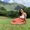Photo of Tatiana F.