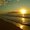 Photo of Sunshine R.