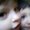 Photo of Qype User (johnmc…)