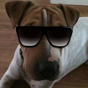 google avatar