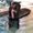 Photo of Katie H.