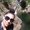 Photo of Dilcia A.