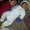 Photo of Marisol S.