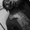 Photo of Savion S.