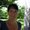 Photo of Qype User (evelyn…)