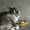 Photo of Layla C.