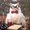 Photo of Nixie G.