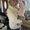 Photo of Denise M S.