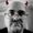 Photo of Scott K.