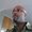 Photo of Derek F.