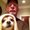 Photo of Steve P.