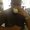 Photo of Shayne P.
