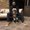 Photo of Savi S.