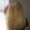 Photo of Melissa S.