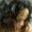 Photo of Shalyn F.