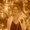 Photo of Karin P.