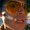 Photo of Jamel Y.
