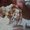 Photo of Qype User (josefs…)