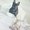 Photo of ゆみ