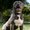 Photo of Meko S.