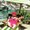 Photo of Sal Y Xochitl M.