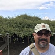 google avatar