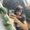 Photo of Vanna R.