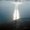 Photo of Tom N.