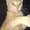 Photo of Qype User (Mary2…)