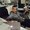 Photo of Fadi A.