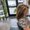 Photo of Brenda S.