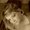 Photo of Lisa G.