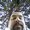 Photo of Steven M.
