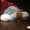 Photo of Mario U.