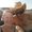 Photo of Heather M.