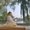 Photo of Tuyen H.