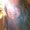 Photo of Jeana J.
