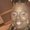 Photo of Renita Trulybless D.