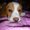 Photo of Gonnie D.