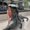 Photo of Ely Liz G.