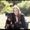 Photo of Petrina H.