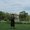 Photo of Zheng M.