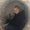 Photo of Maia N.