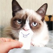 google avatar