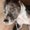 Photo of Kailee A.