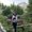 Photo of Elena T.