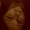 Photo of Angelica O.