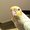 Photo of Kippi J.